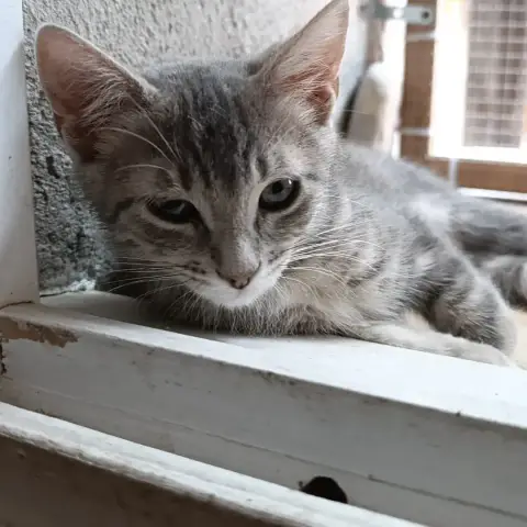 Io Et Phobos photo 2