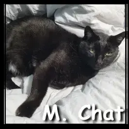 Monsieur photo 2