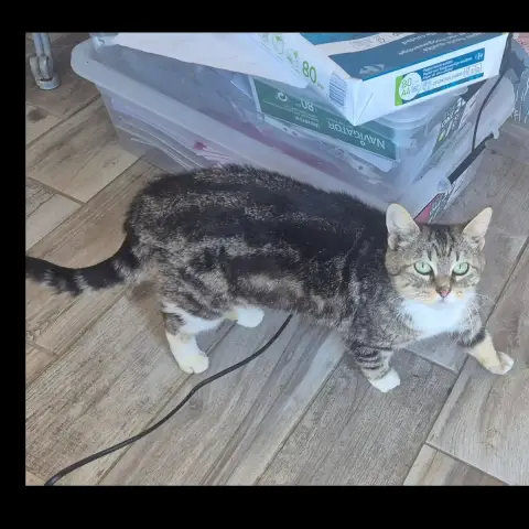 Bibi photo 3