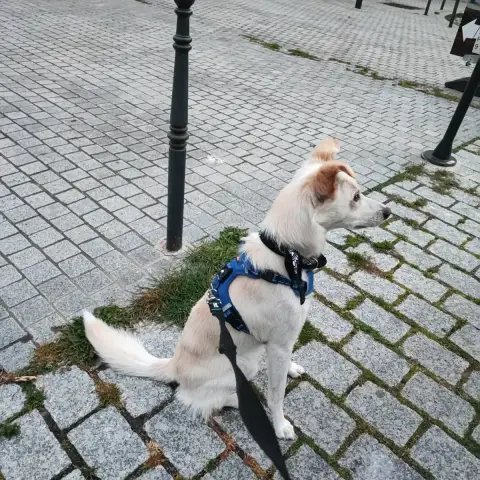 Arlo En Famille D'Accueil photo 3