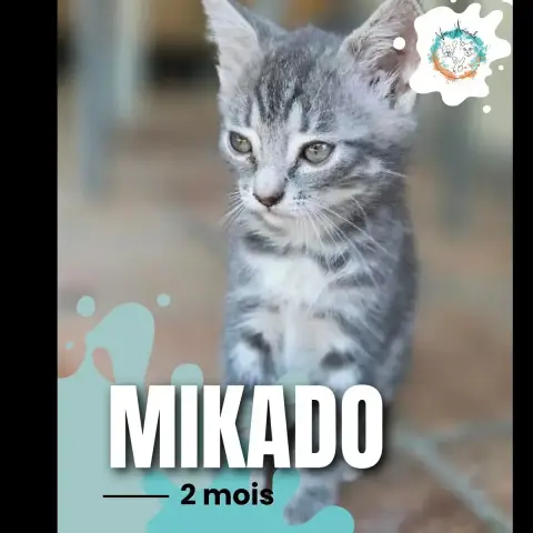 Mikado