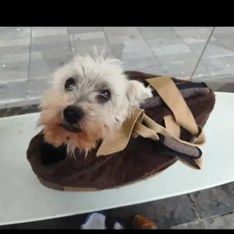 Jilou photo 2