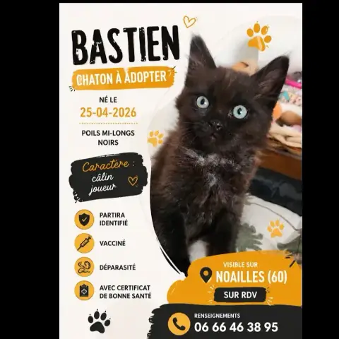 Bastien