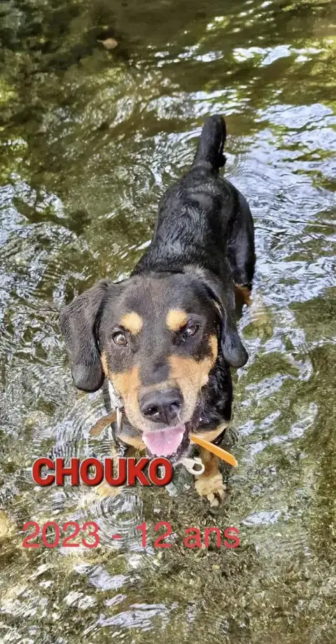 Chuco