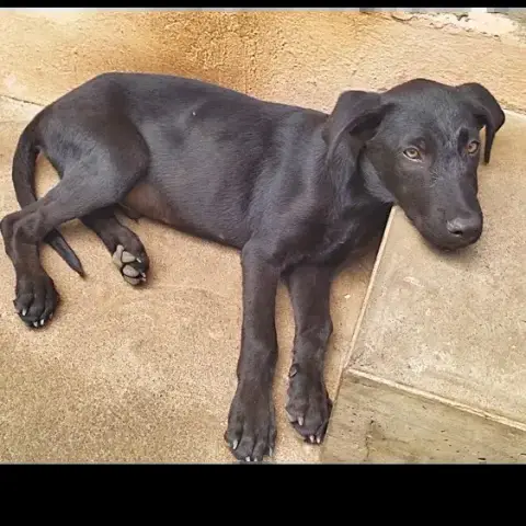 Bouba photo 3