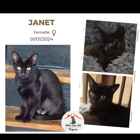 Janet