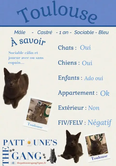 Toulouse