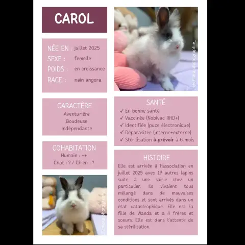 Carol