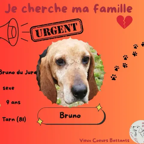 Bruno