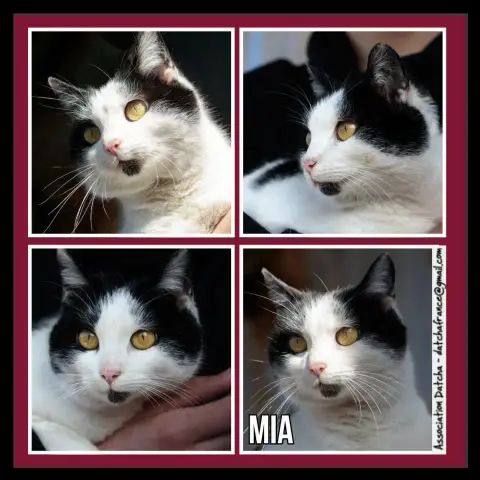 Mia
