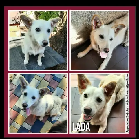 Lada