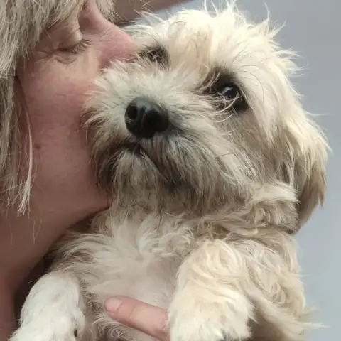 Pimienta