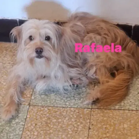 Lucky Et Rafaela photo 2