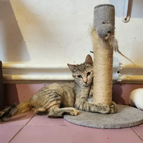 Luna photo 2