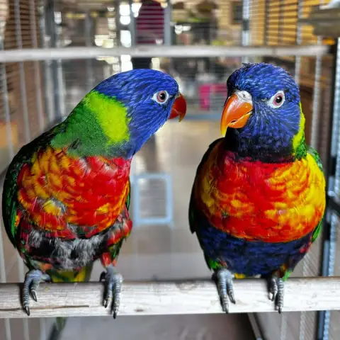 Miquela Et Malenia photo 2