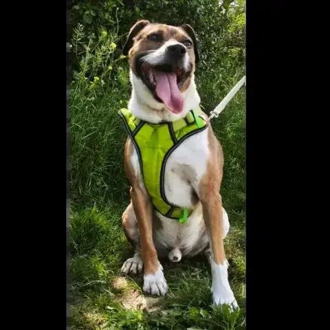 Milka