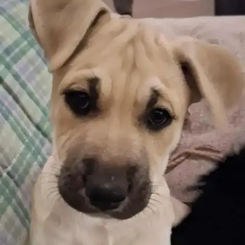 Aby