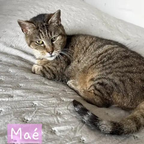 Maé photo 2