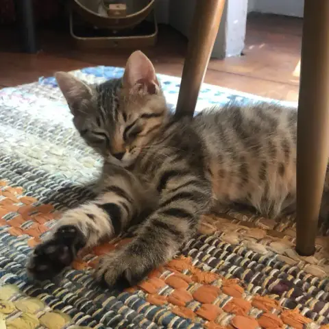 Léo photo 2