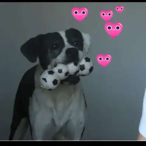 Pepa