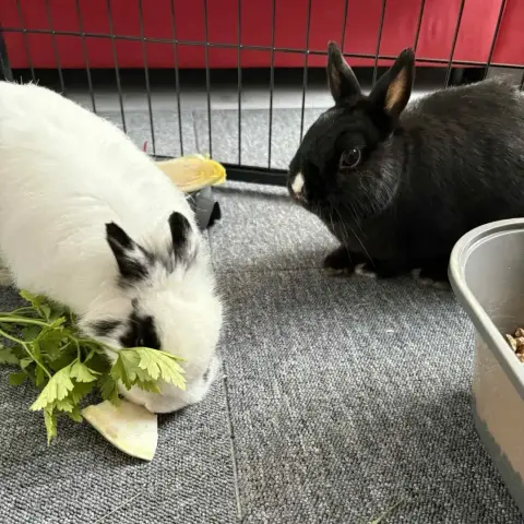 Paula Et Marco