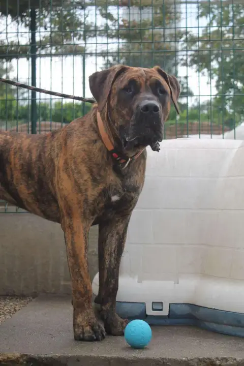 Thor photo 3