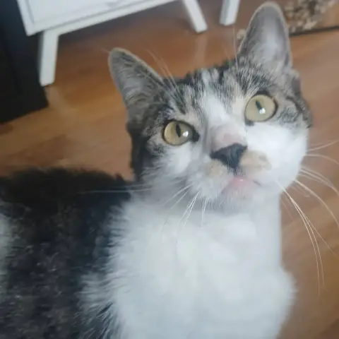 Louisa photo 3