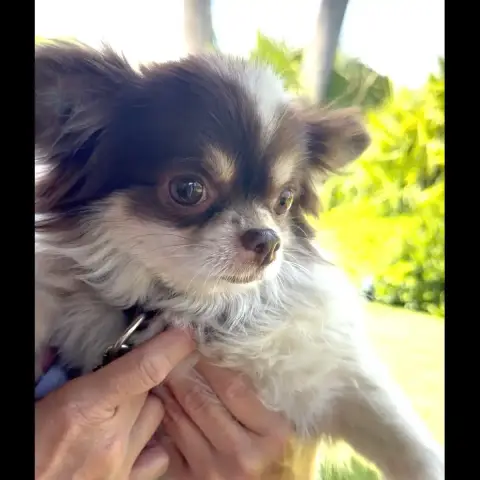 Otis photo 2