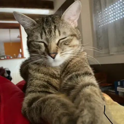 Igutu