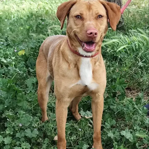 Nala photo 2