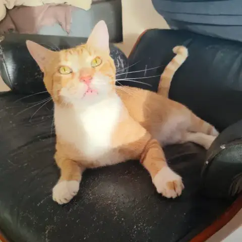 Jimmy
