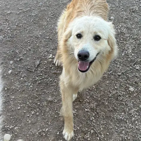 Rubio photo 2