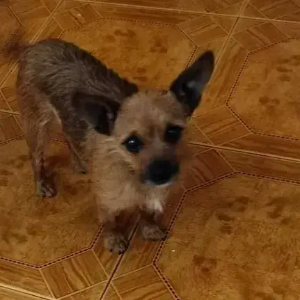 Mia photo 3