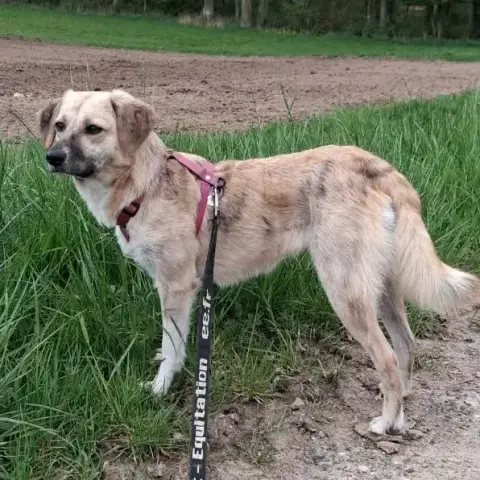 Lucy