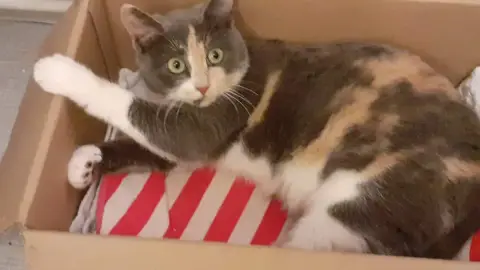 Lili