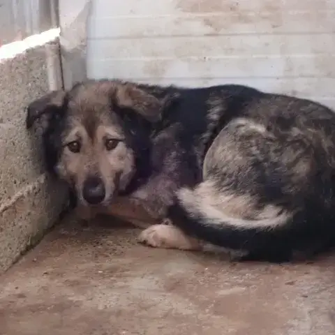 Timba photo 2