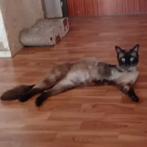 Kiki photo 2