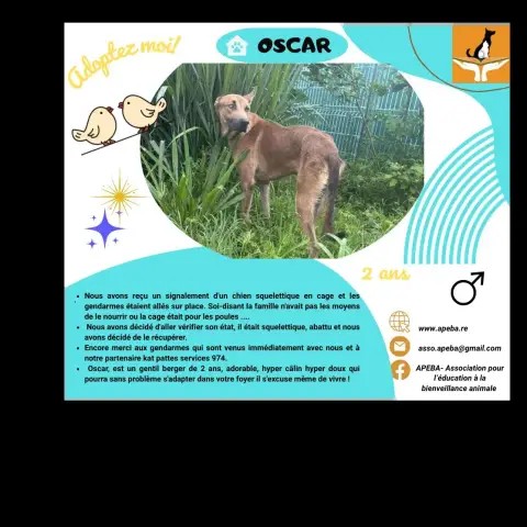 Oscar