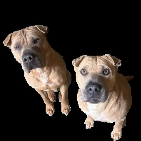 Olya Et Ragnar