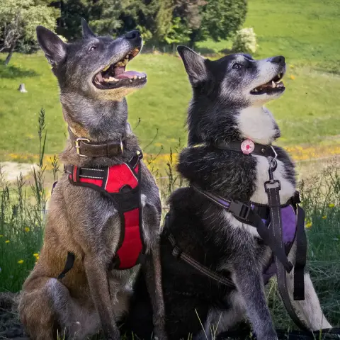 Kiara Et Malia
