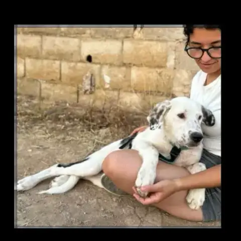 Peca photo 2