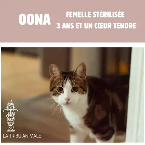 Oona photo 3