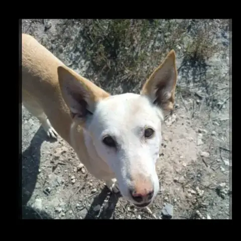 Marisol photo 2