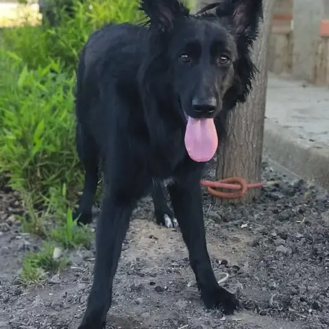 Ella photo 2
