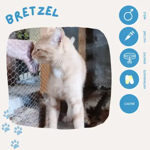 Bretzel