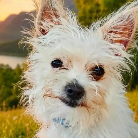 Molly