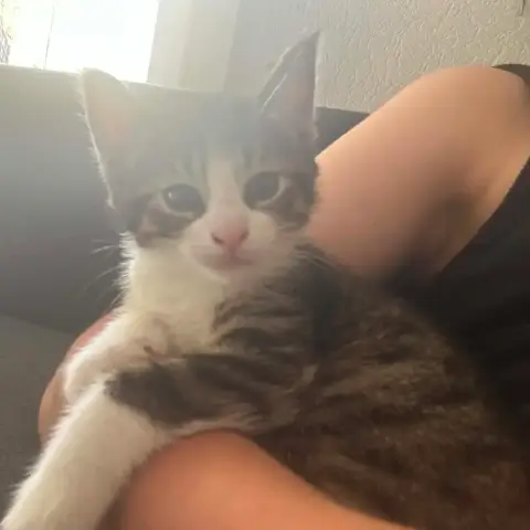 Tim