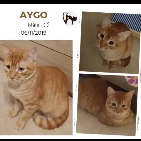 Aygo