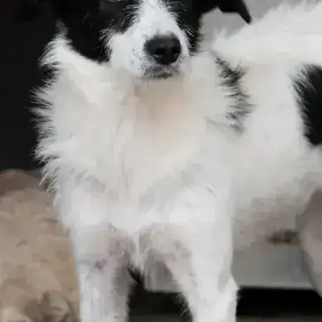 Thelma