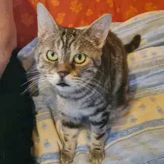 Pablo